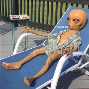 Meet your Posher, Dj